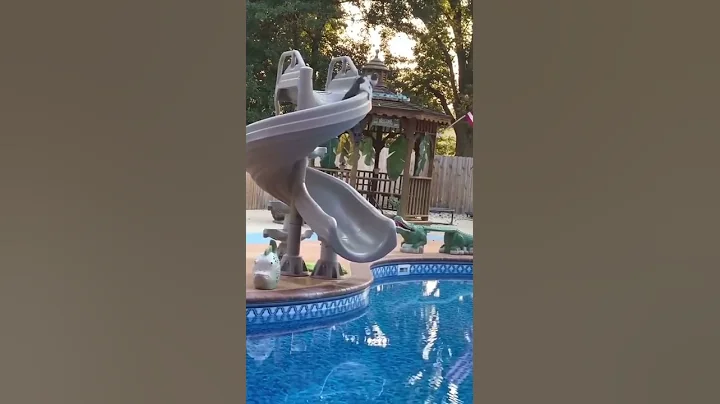 Funny Cat falling in Water 😂      #shorts #cats