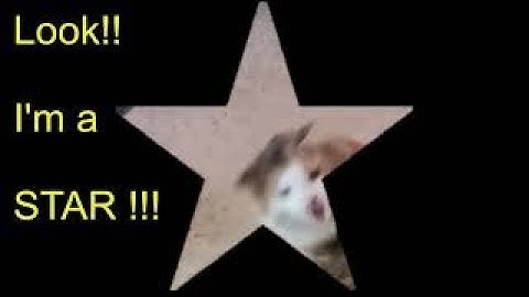 Working With Masks in VSDC Part 2- LW&C with VSDC