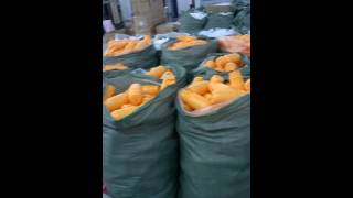 WP 20140912 001