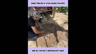 Anh Chàng Sinh Tồn Bằng Hàng Fan Gửi | P52