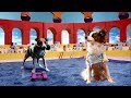 Funny Dogs Sports And Playing Compilation