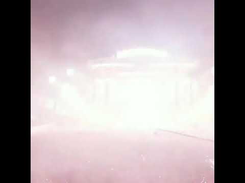 Best Live concerts From Tomorrowland