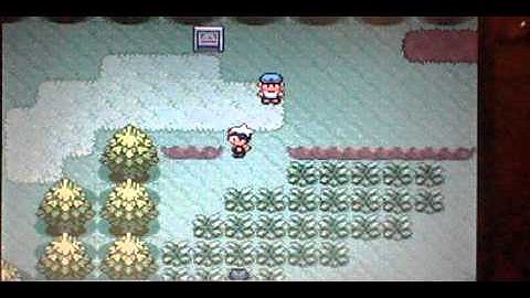 Pokemon Ruby Part 5-Route 102