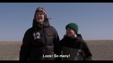 The Arctic Camels - Trailer