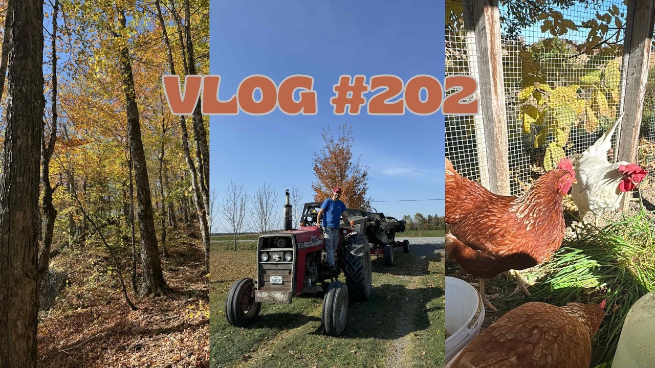 VLOG #202- Douces journées d'automne & produits terminés