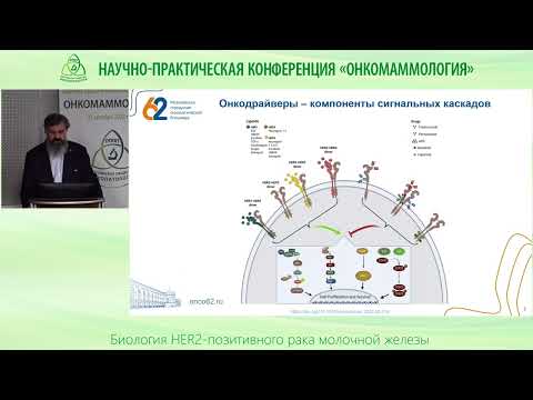 Биология HER2 позитивного рака молочной железы