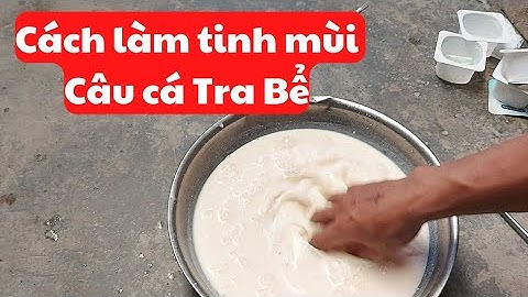 Cách làm tinh mùi,hương liệu câu cá tra bể rất hiệu quả #tinhmui #huonglieucauca