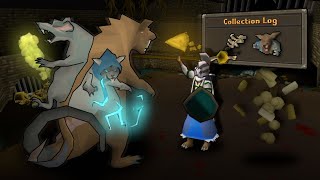 The First Boss Pet Grind | One Chunk UIM #11
