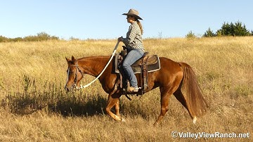 Richish***For info, price, etc., go to our website: ValleyViewRanch.net***