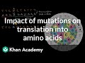 Transcription and Translation: The Journey from DNA to Protein