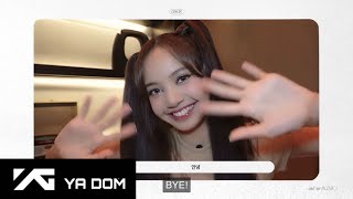 LISA - 7th Anniversary Message for Blinks