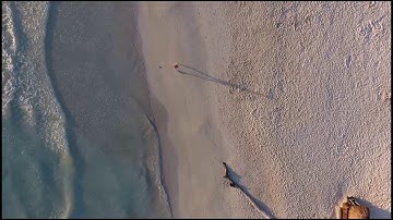 YOU NEED TO KNOW THIS: Carbon capture systems in the pulp and paper industry