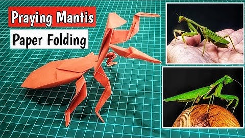 How to make A paper Praying Mantis | Tutorial Origami Praying Mantis