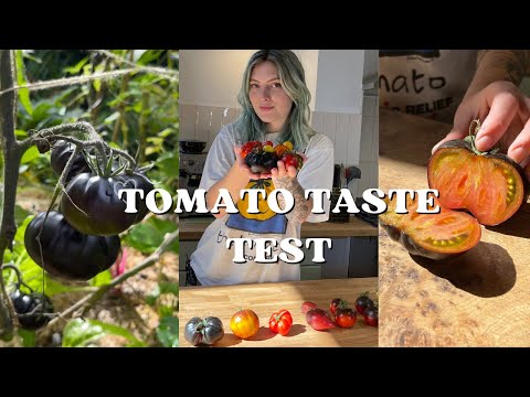 Do Unusual Tomatoes