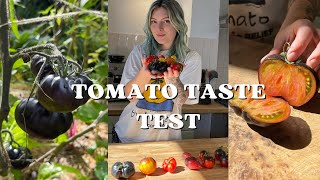 Do Unusual Tomatoes Taste As Good As They Look? Taste Test  inthecottagegarden