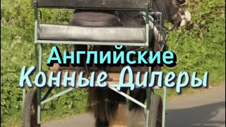 Английские Дилеры