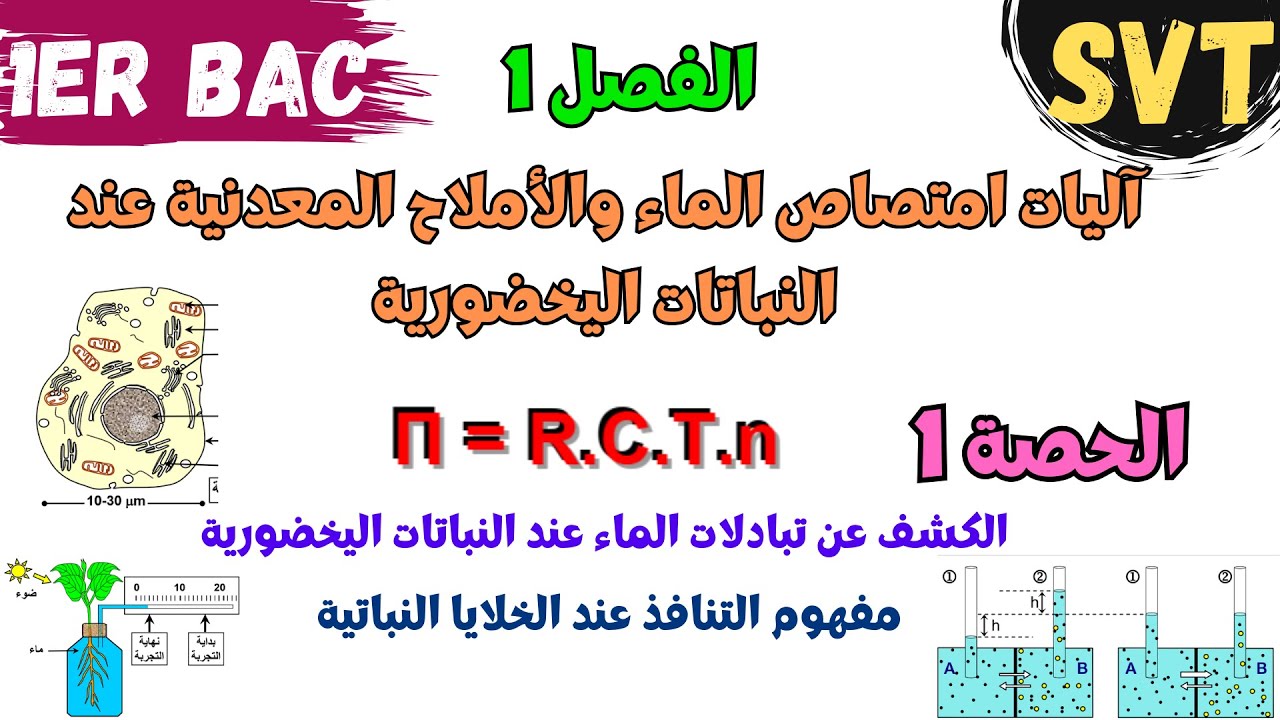 أولى باك | SVT | الفصل 1 : آلیات امتصاص الماء والأملاح المعدنیة عند النباتات الیخضوریة | الحصة 1