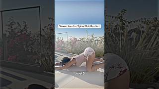 #usa #WirbelsäulenFlow #deutsch #spinehealth #Mobility #HealthyMovement