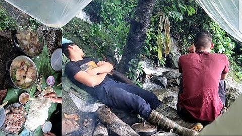 Mưa Rừng Già Và Bữa Cơm Trưa