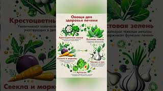 Овощи для здоровья печени