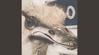 Download Lagu Don't Bring Me Down MP3