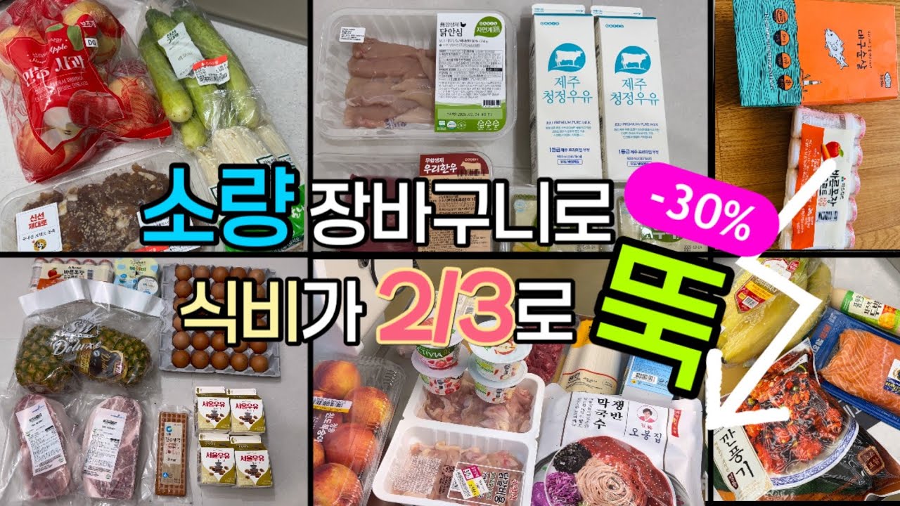 소량 장바구니로 월식비 46만원 💵 대형마트 잠깐 끊고 필요한 만큼만 조금씩 사보세요 ⭐️ 가계 경제가 살아나요 🥹❤️