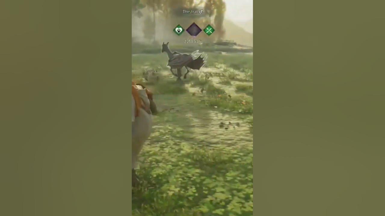 Hogwarts legacy Thestral spielt mit dem Ball YouTube