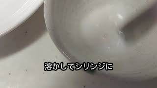 2020年6月18日　錠剤飲まないのでシリンジ強制的服用