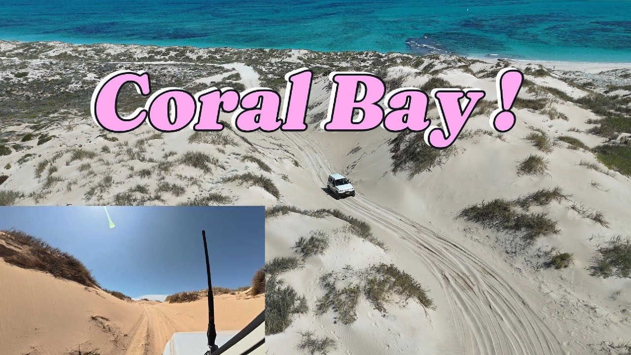 Coral Bay WA – Australia’s Hidden Paradise 🌊 | Snorkeling, Turtles & Turquoise Water!