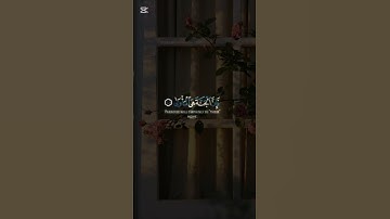 ارح سمعك تلاوه هادئة تريح الأعصاب 🎧😴القارئ :مصطفى جبل