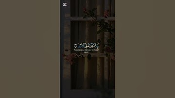 ارح سمعك تلاوه هادئة تريح الأعصاب 🎧😴القارئ :مصطفى جبل