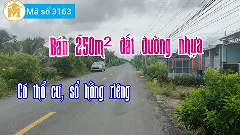 Bán 250m² đất thổ cư, đường nhựa ở Bến Lức, Long An - Giá 1,8 tỷ - MS 3163