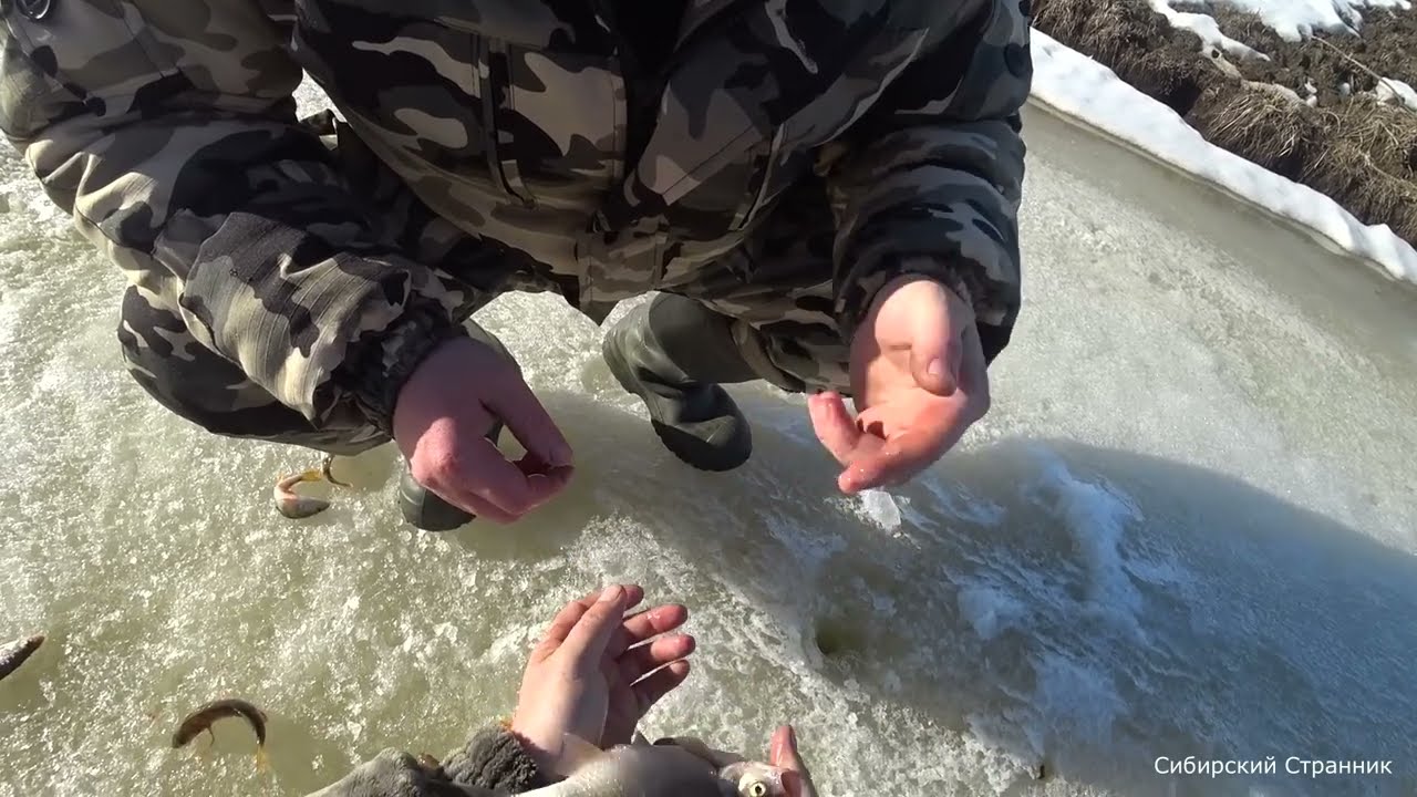 Накидали по быстрому в санки рыбы и домой.