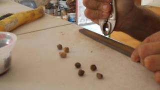 Seed Cleaning - scarification of Nance seed