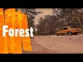 Forest FPV | Полеты по лесу