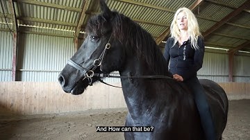 How to ride without a bit: When Horses Choose