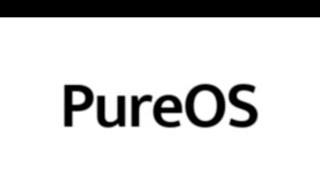 How To Permanently Install PURE OS 9 64BIT  To USB or PC & Review - OCTOBER 2019