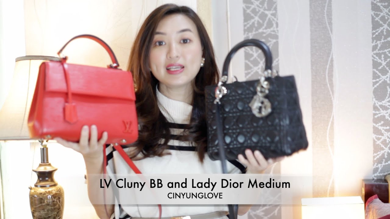 Dior 30 Montaigne and LV Cluny BB in Epi Leather 