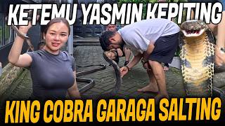 Download Lagu PERTEMUAN GARAGA KING COBRA KETEMU YASMIN RATU KEPITING MP3