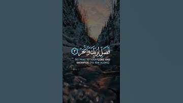 سورة الكوثر بصوت هادئ و رائع - القارىء عبدالرحمن مسعد - قرآن - Quran