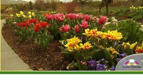 Excel 6 module 6 p73 Parks around the world