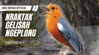 Download Lagu LANGSUNG NYAUT 10000 % ‼️ ANIS MERAH MACET BUNYI JIKA DENGAR SUARA INI PASTI NYAUT LANJUT GACOR | 20 MP3 Download Lagu LANGSUNG NYAUT 10000 % ‼️ ANIS MERAH MACET BUNYI JIKA DENGAR SUARA INI PASTI NYAUT LANJUT GACOR | 20 MP3