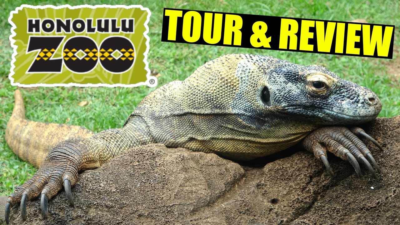 Honolulu Zoo Tour & Review with The Legend