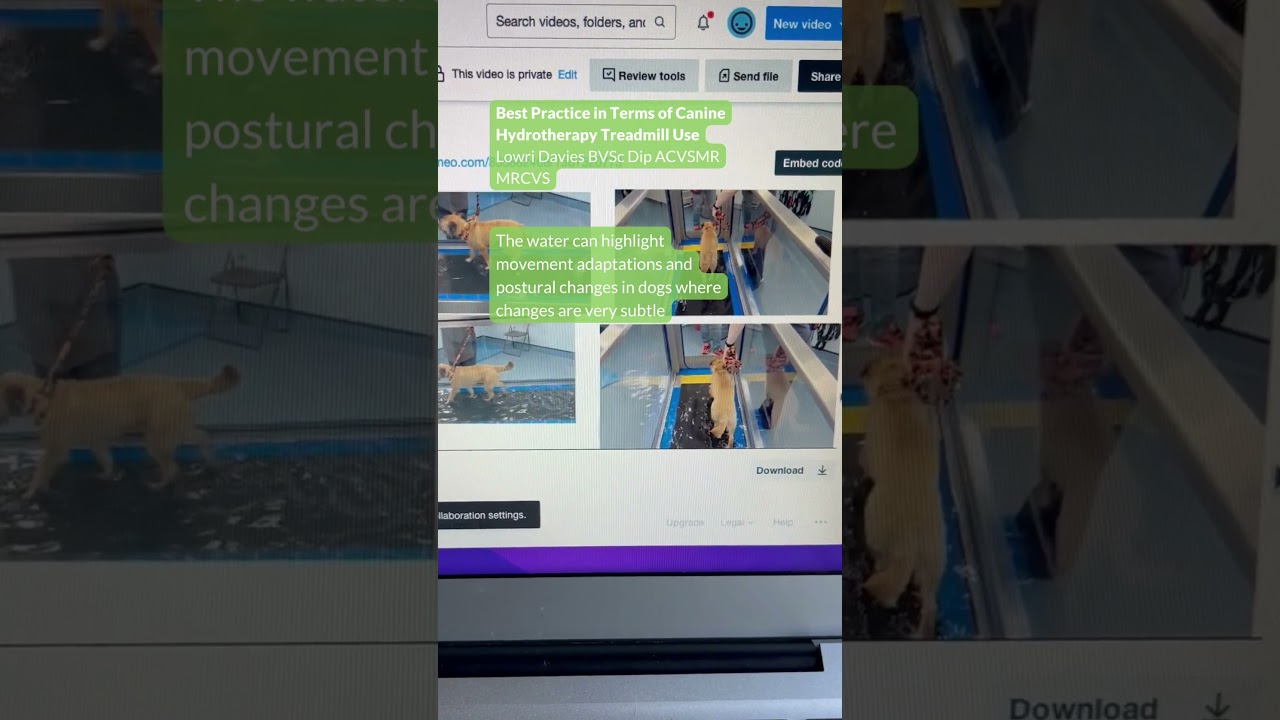 Best Practice in Terms of Hydrotherapy Treadmill Use in Canine Rehab,  Lowri Davies