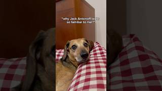 Celebrity what do you think guys? #jackantonoff #dad #resemblance #swiftie Profile