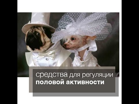 Половая охота / капли для регуляции половой активности у животных