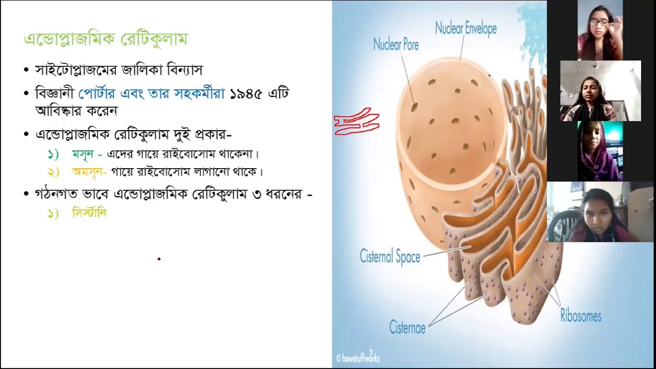 Endoplasmic Reticulum - YouTube