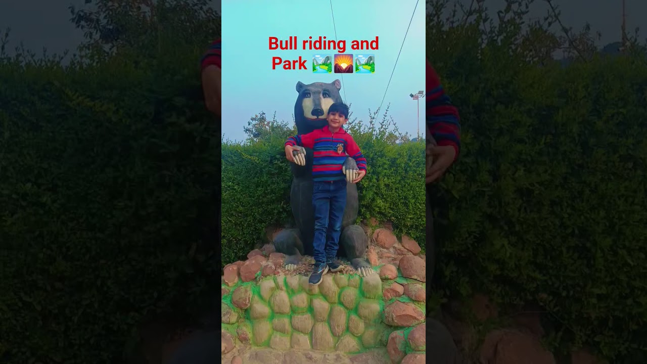 Bull riding Kg 🐟 and dupatta in the world