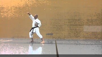 Shinri Karate Schools grading syllabus 10th kyu