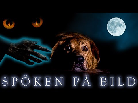 Video: Spöken På Vägarna - Alternativ Vy